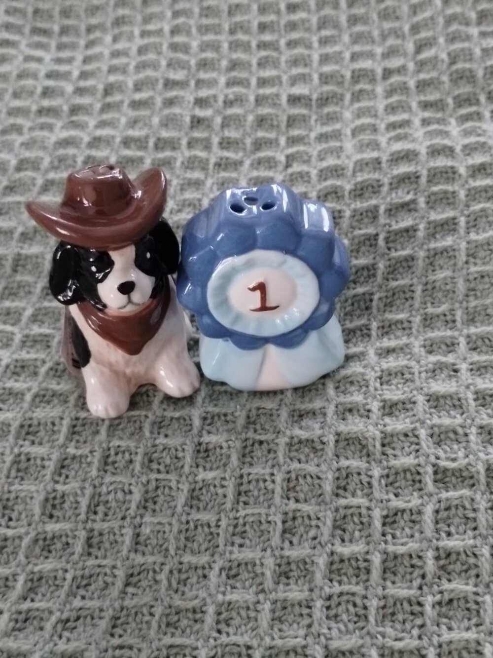 Salt & pepper shaker set- Cowboy dog & blue ribbon